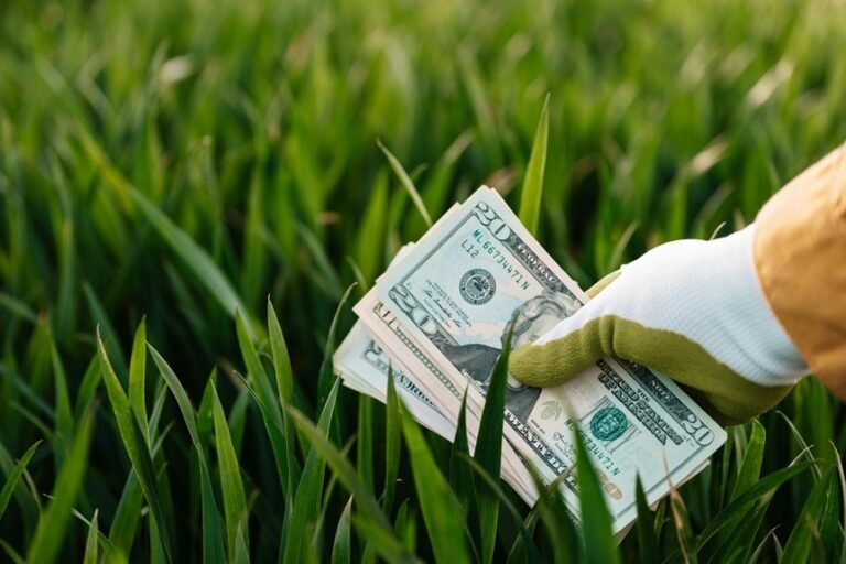 sustainable financial systems development