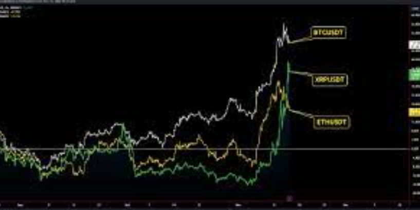 XRP Price vs. Bitcoin: A Comparative Analysis